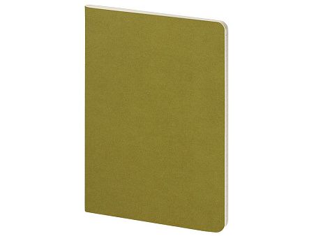 Бизнес тетрадь А5 «Pragmatic»