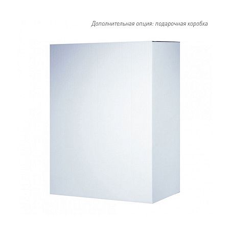 Бизнес рюкзак Таллер (Taller)  с USB разъемом, черный