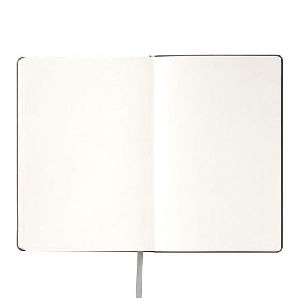 Ежедневник Спарк (Spark) недатированный, серый (без упаковки, без стикера)