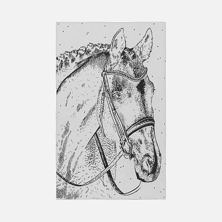 Плед «Вороной»