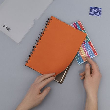 Ежедневник Виста (Vista) недатированный, оранжевый/коричневый