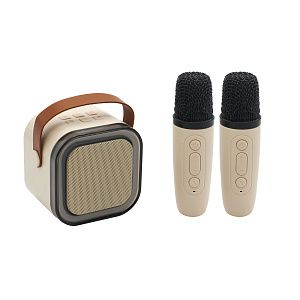 Караоке станция "Duet"