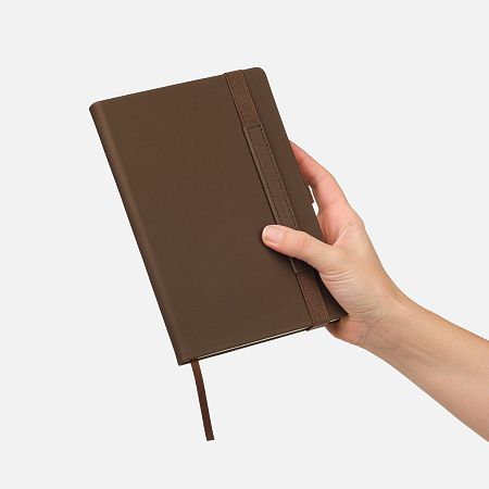 Ежедневник Альфа (Alpha) недатированный, коричневый/бежевый