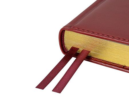 Ежедневник недатированный А5 «Parliament»