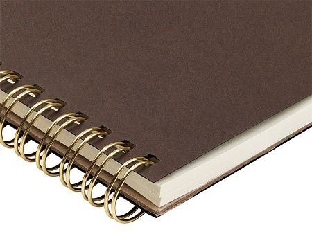 Бизнес тетрадь А5 «Pragmatic»