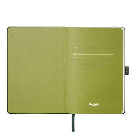 Ежедневник Alpha недатированный, зеленый/оливковый