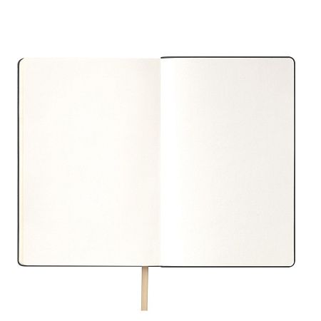 Ежедневник Спарк (Spark) недатированный, белое золото (без упаковки, без стикера)