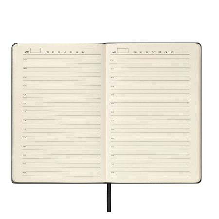 Ежедневник Теоло (Teolo) недатированный, серый