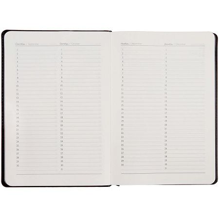 Ежедневник Alanis, недатированный, черный с синим