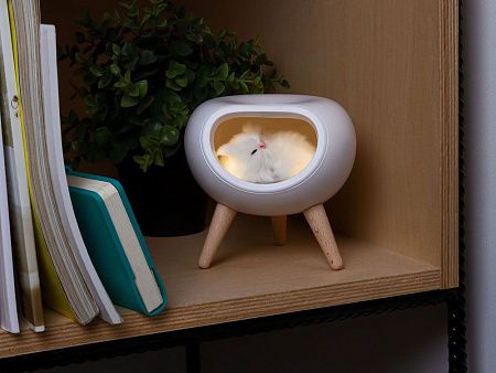 Ночник LED «Koko»