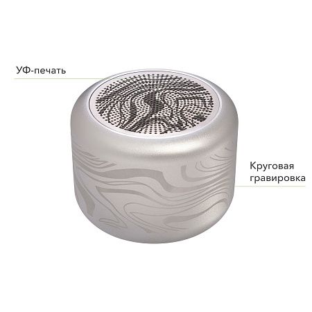 Беспроводная колонка Пэшн (Passion) 80dB 600 mAh (Bluetooth 5.4), серебряная