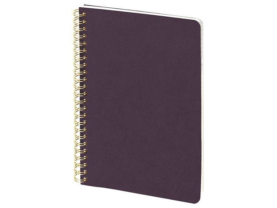 Бизнес тетрадь А5 «Pragmatic»