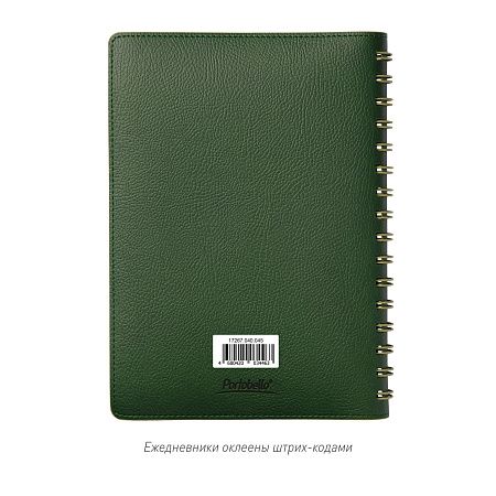 Ежедневник Виста (Vista) недатированный, зеленый/салатовый