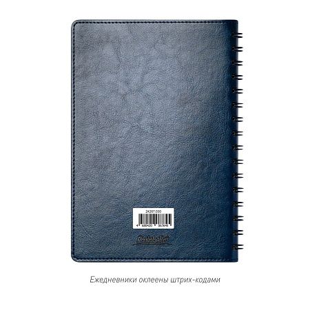 Ежедневник Виста Нео (Vista Neo) недатированный, синий