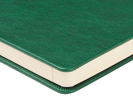 Ежедневник недатированный А5 «Premier»