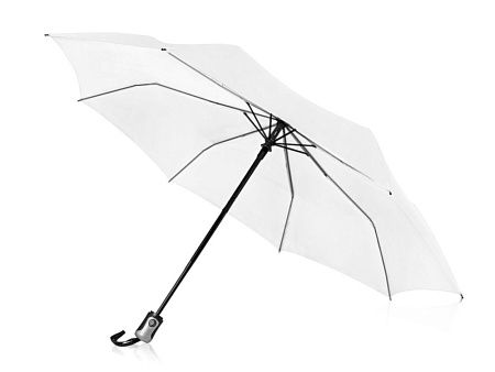 Зонт складной «Alex»
