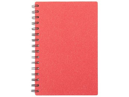 Блокнот А5 на спирали «Mania»