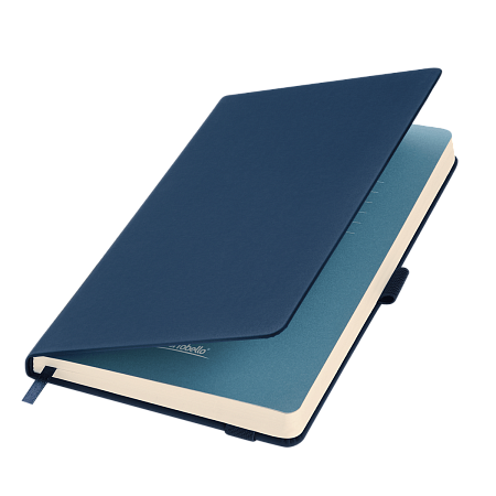 Ежедневник Альфа (Alpha) недатированный, синий/голубой