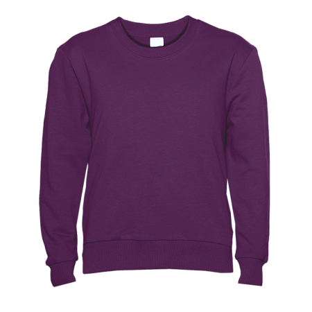 Свитшот детский STAN футер без начёса, 260, 63J, Сливовый,  (95)  (6 лет)