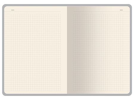 Бизнес-тетрадь А5 «Pragmatic Contrast»