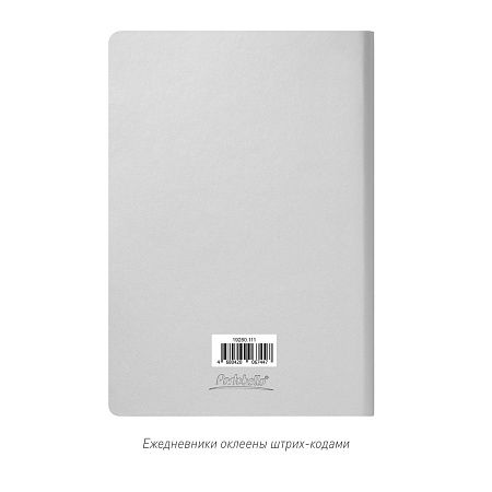 Ежедневник Spark недатированный, серебряный (с упаковкой, со стикерами)