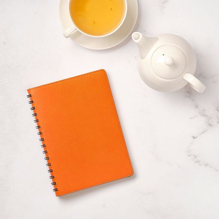 Ежедневник Виста (Vista) недатированный, оранжевый/коричневый