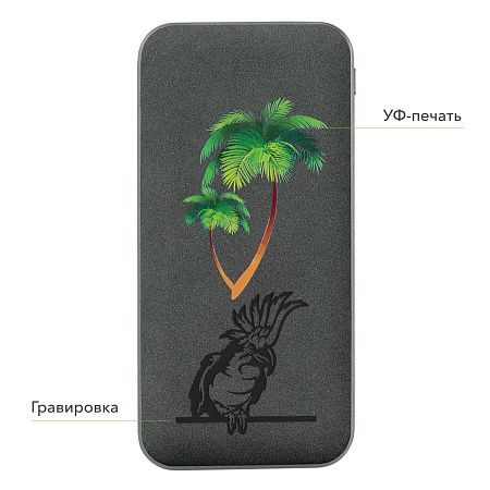 Внешний аккумулятор Ин Велюр (In Velour) 10000 mAh, черный