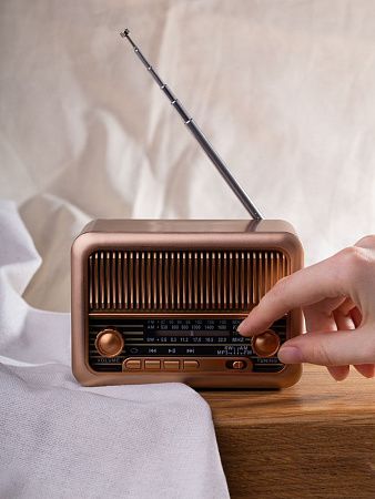 Bluetooth-колонка с радио Beatnik, коричневая