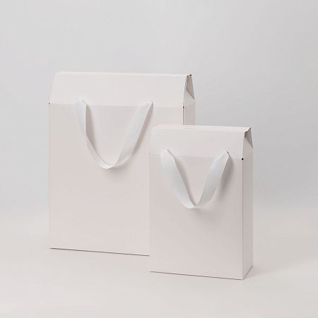 Подарочная коробка-пакет универсальная малая, белая