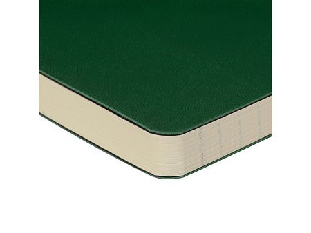 Ежедневник недатированный B5 «Megapolis Flex»