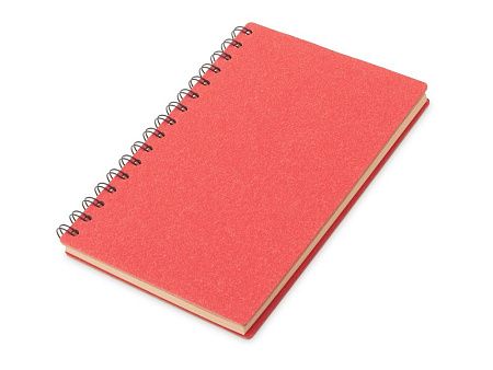 Блокнот А5 на спирали «Mania»