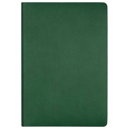 Ежедневник Рейн (Rain) недатированный, зеленый (без упаковки, без стикера)