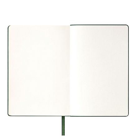 Ежедневник Спарк (Spark) недатированный, зеленый (без упаковки, без стикера)