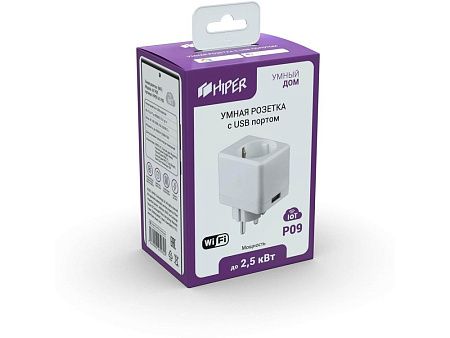 Умная розетка с USB портом «IoT P09»
