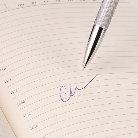 Шариковая ручка Леви (Levi), серая