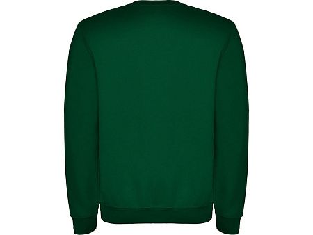 Свитшот с начесом «Clasica» унисекс