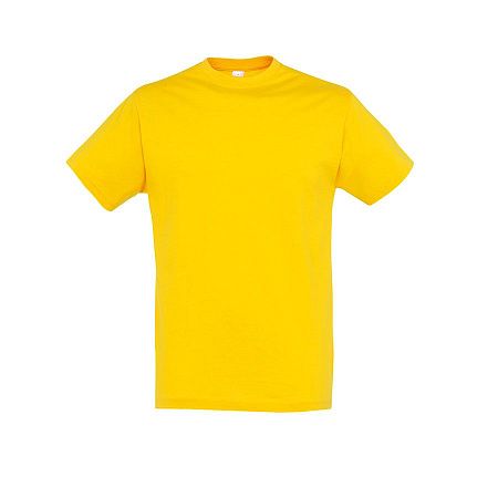 Футболка мужская REGENT150