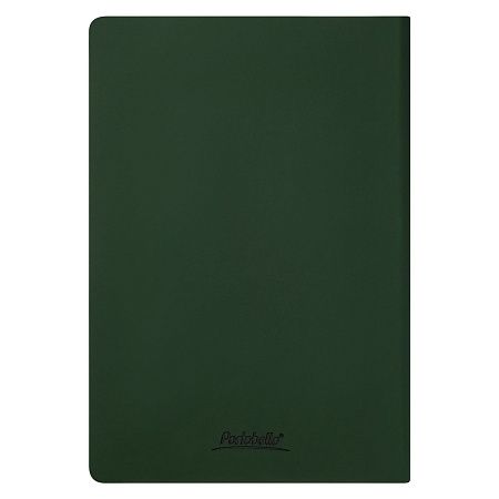 Ежедневник Спарк (Spark) недатированный, зеленый (без упаковки, без стикера)