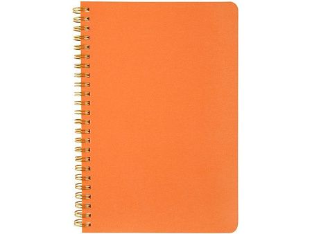 Бизнес тетрадь А5 «Pragmatic»