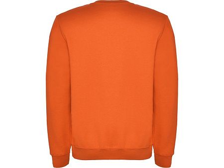 Свитшот с начесом «Clasica» унисекс