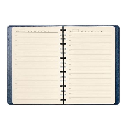 Ежедневник Виста Нео (Vista Neo) недатированный, синий