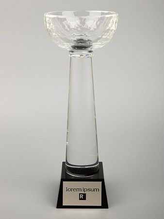 Кубок Cupture, большой