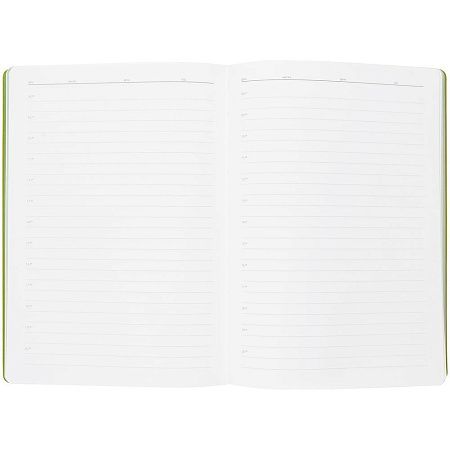 Ежедневник Flexpen, недатированный, серебристо-зеленый
