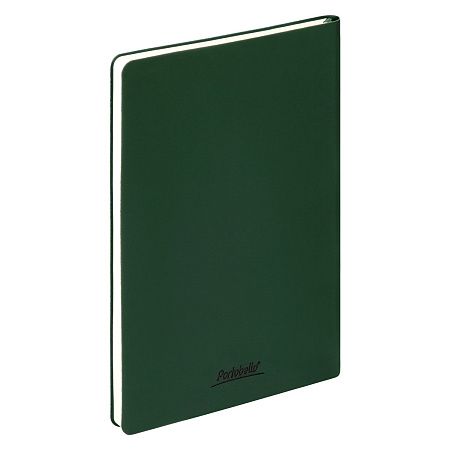 Ежедневник Спарк (Spark) недатированный, зеленый (без упаковки, без стикера)