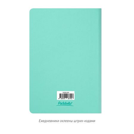 Ежедневник Spark недатированный, мятный (с упаковкой, со стикерами)