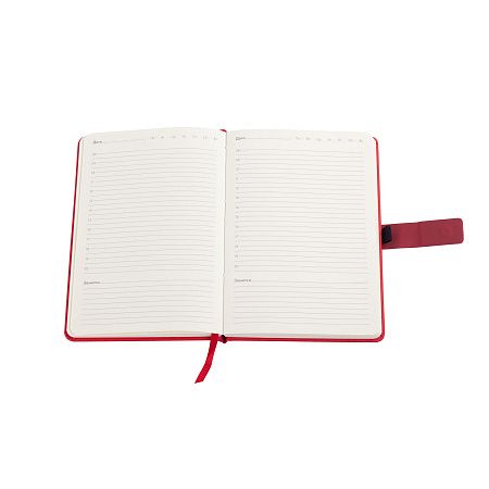 Ежедневник недатированный "Монти", формат А5