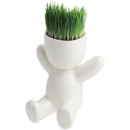 Набор для выращивания Funky Buddy