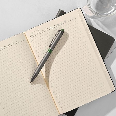 Шариковая ручка IP Chameleon, красная