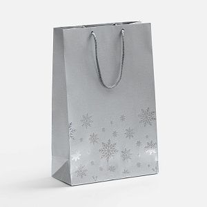 Пакет Wintry, серебристый