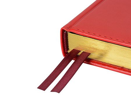 Ежедневник недатированный А5 «Parliament»